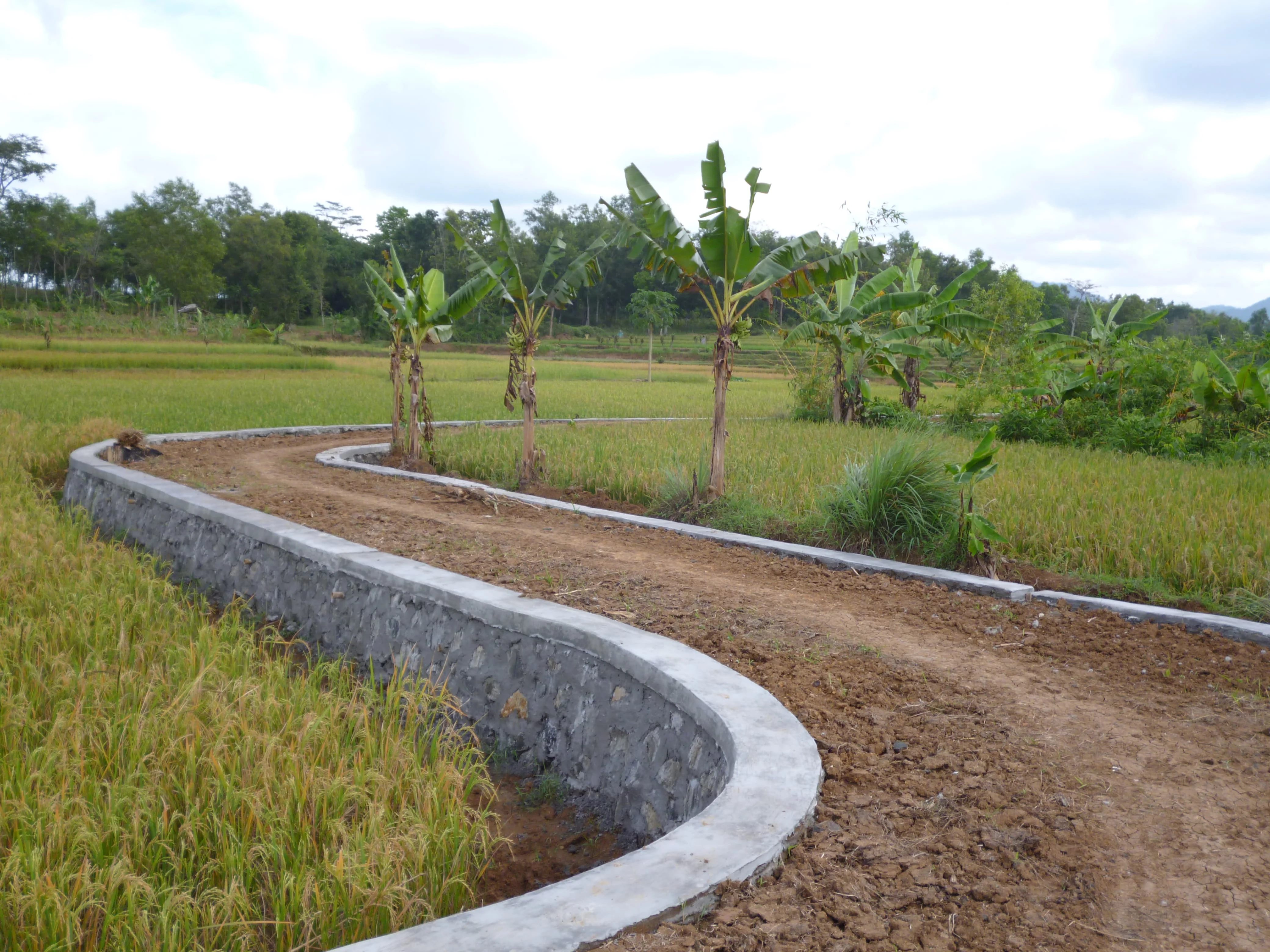 Pembangunan jalan usaha tani